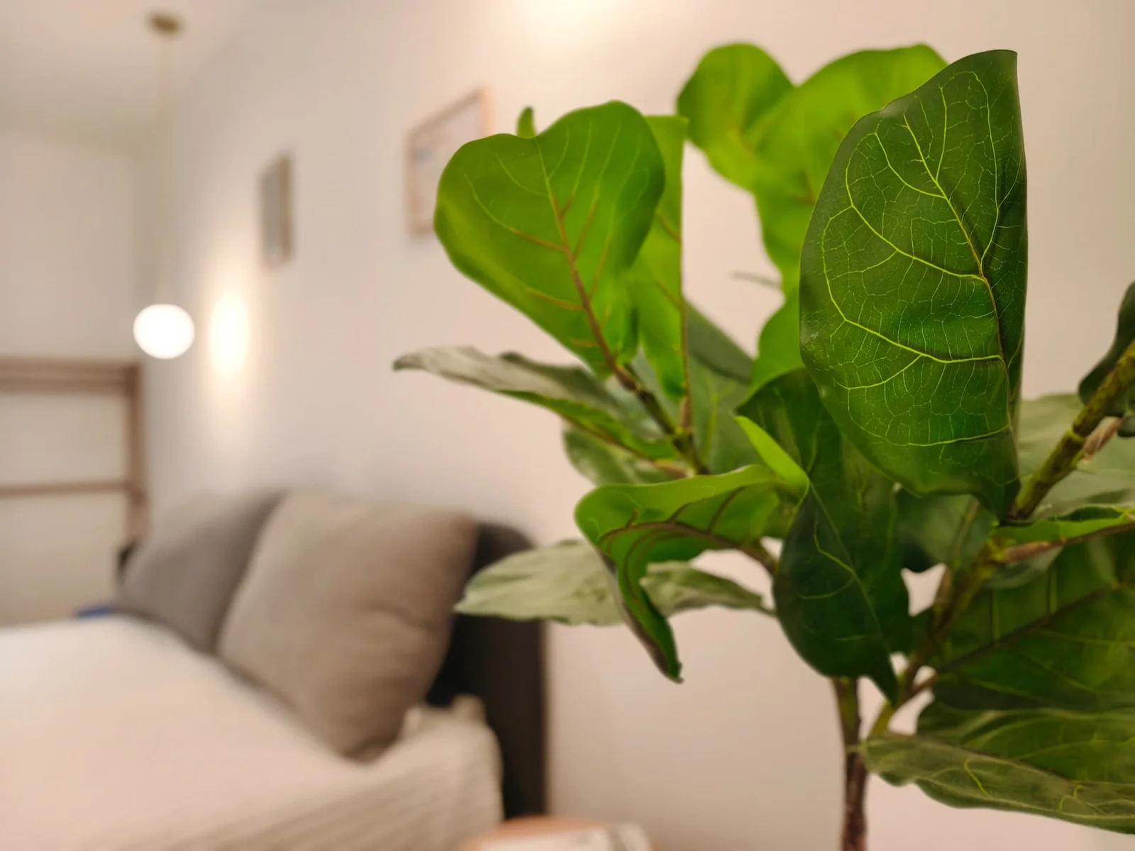 Lo Peix: detalle de vegetación en el dormitorio principal