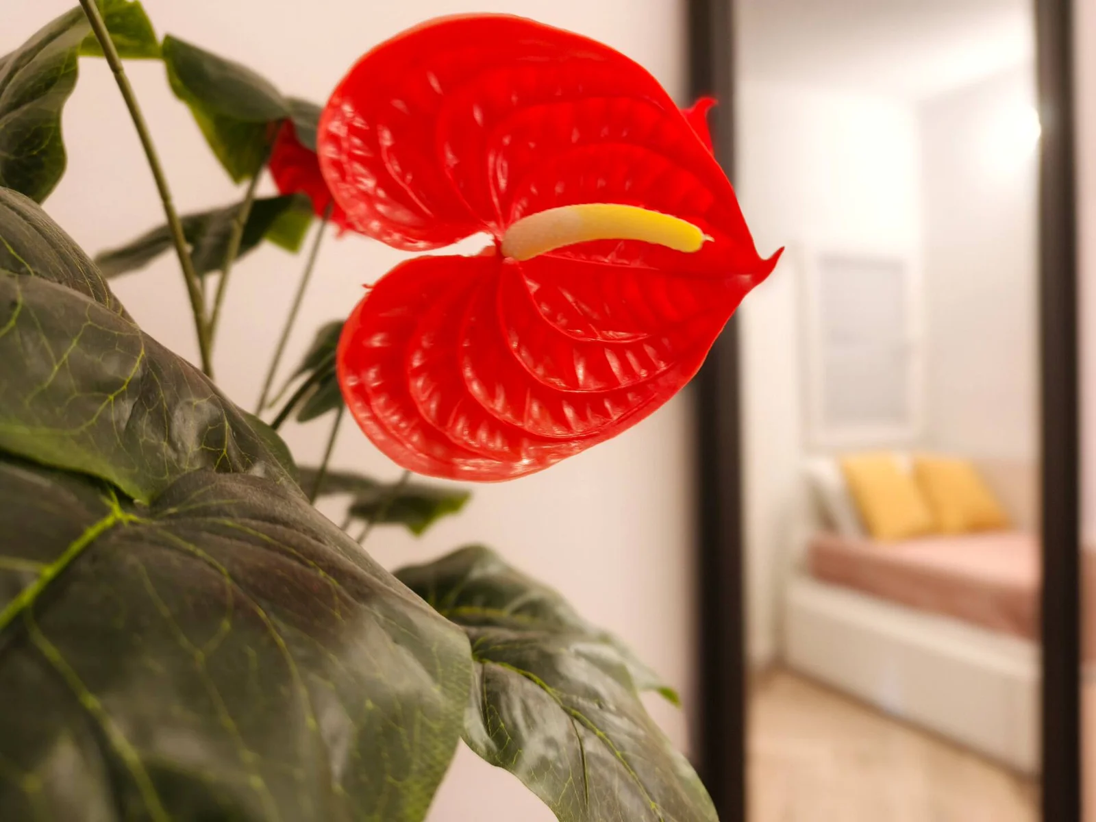 Lo Peix: detalle floral junto al acceso al dormitorio